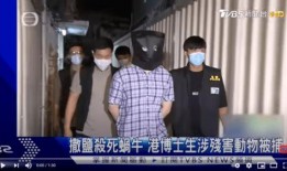 911红领巾吃瓜爆料女博士,911红领巾吃瓜爆料背后的女博士传奇